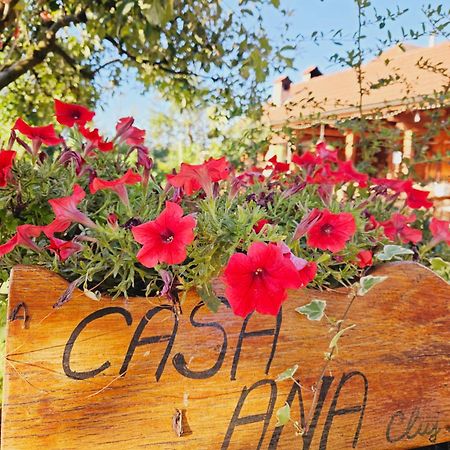 Casa Ana Cluj Apartman Kültér fotó