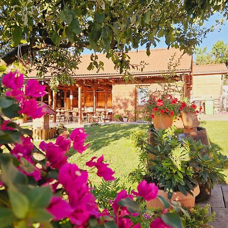 Casa Ana Cluj Apartman Kültér fotó