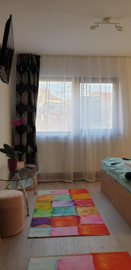 Casa Ana Cluj Apartman Kültér fotó