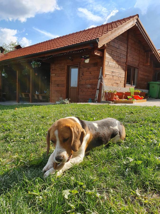 Casa Ana Cluj Apartman Kültér fotó