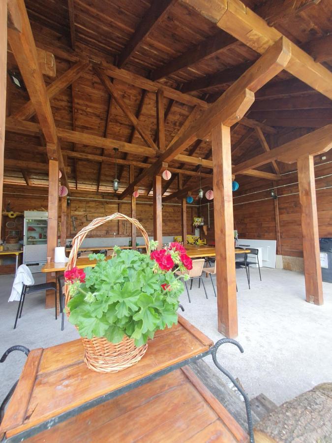 Casa Ana Cluj Apartman Kültér fotó