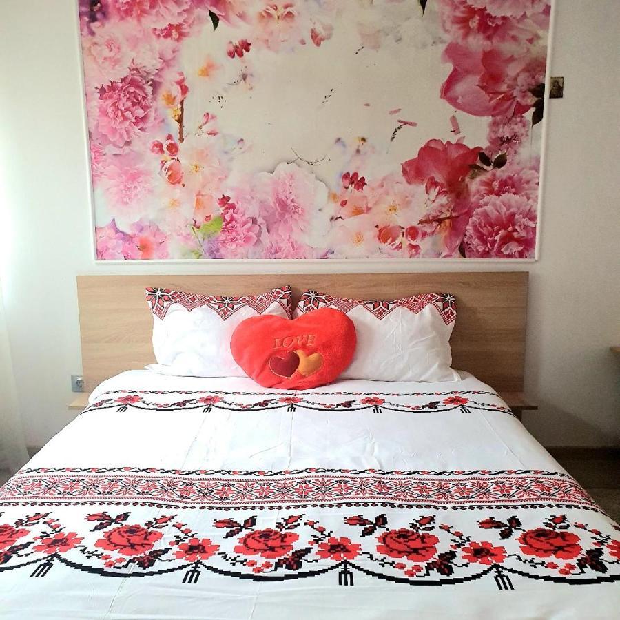 Casa Ana Cluj Apartman Kültér fotó