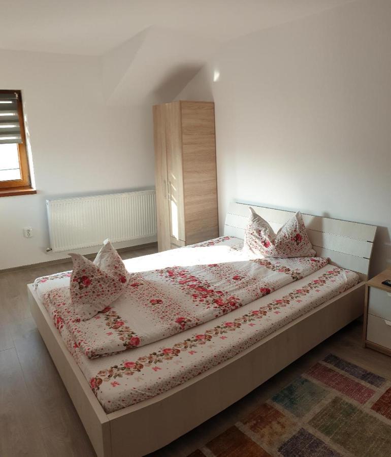 Casa Ana Cluj Apartman Kültér fotó